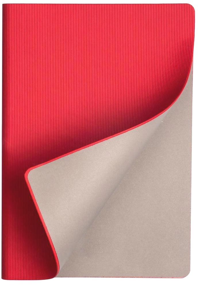 Набор: Шариковая ручка Parker Jotter 2017 SE, London Architecture Classical + Ежедневник, недатированный, А5, красный, фото 7