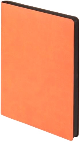 Набор: Шариковая ручка Parker Jotter 2017 SE, London Architecture Gothic + Ежедневник, недатированный, А5, оранжевый, фото 10