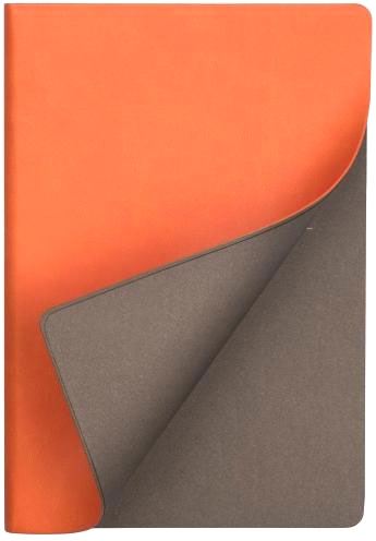Набор: Шариковая ручка Parker Jotter 2017 SE, London Architecture Gothic + Ежедневник, недатированный, А5, оранжевый, фото 7