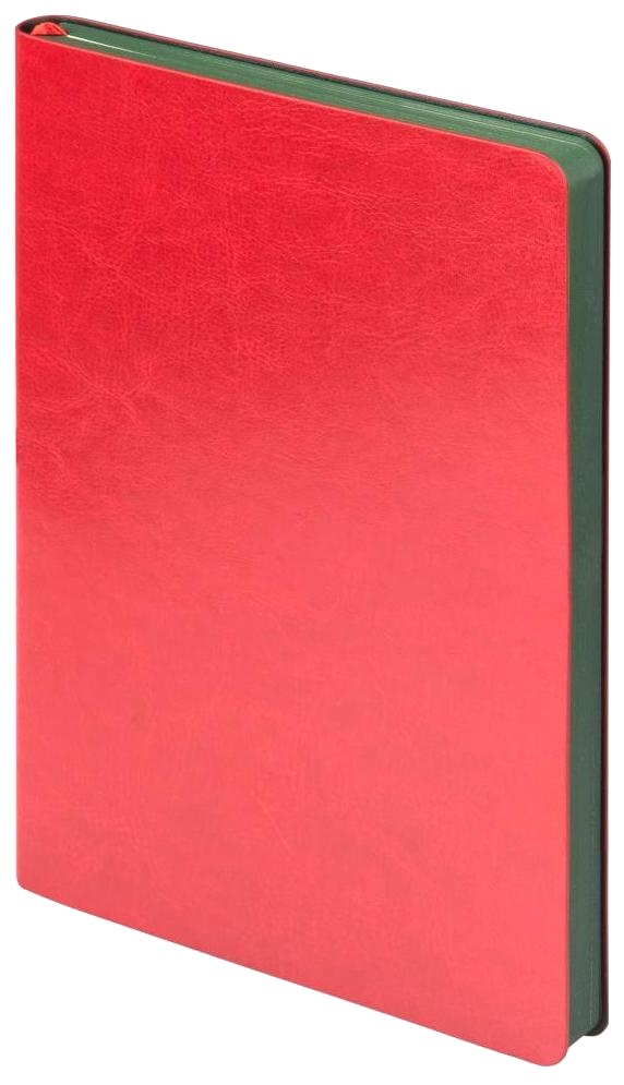 Набор: Ручка шариковая Parker Jotter XL K69 Greenwich, Matte Green CT + Ежедневник, недатированный, А5, красный, фото 10