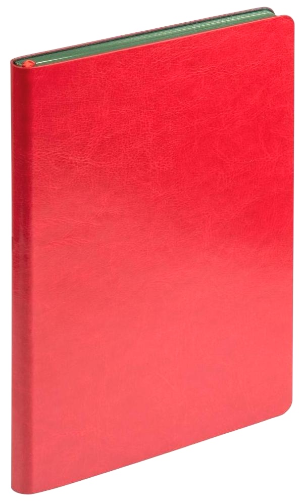 Набор: Ручка шариковая Parker Jotter XL K69 Greenwich, Matte Green CT + Ежедневник, недатированный, А5, красный, фото 8