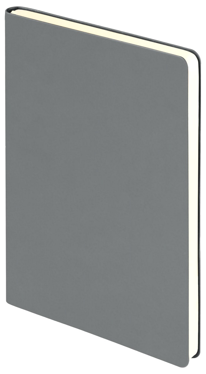Набор: Ручка шариковая Parker Urban Core K309, Metro Metallic CT + Ежедневник, недатированный, А5, серый, фото 11