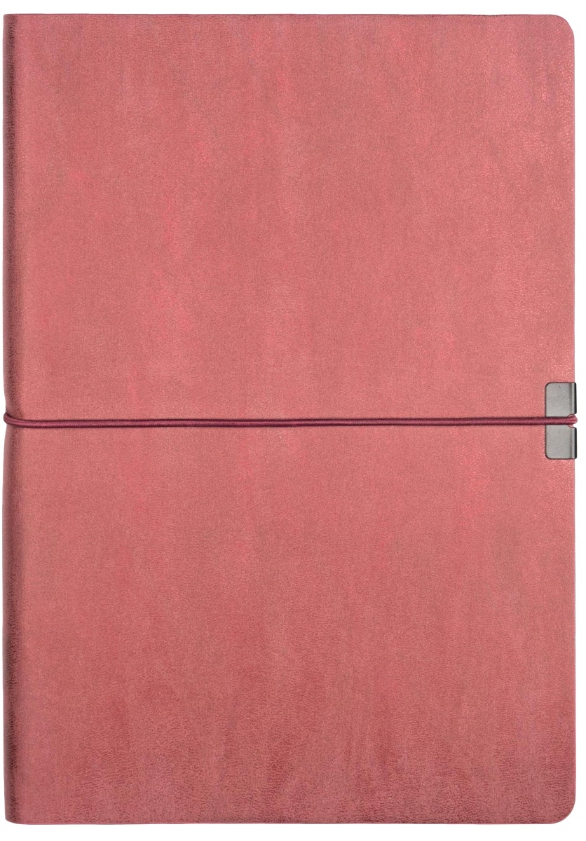 Набор: Перьевая ручка Parker I.M. Premium F222, Metallic Pink CT (перо F) + Ежедневник, недатированный, А5, красный, фото 10