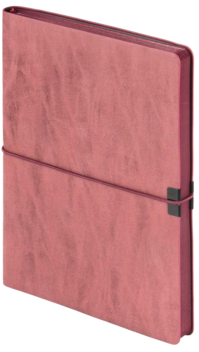 Набор: Перьевая ручка Parker I.M. Premium F222, Metallic Pink CT (перо F) + Ежедневник, недатированный, А5, красный, фото 11