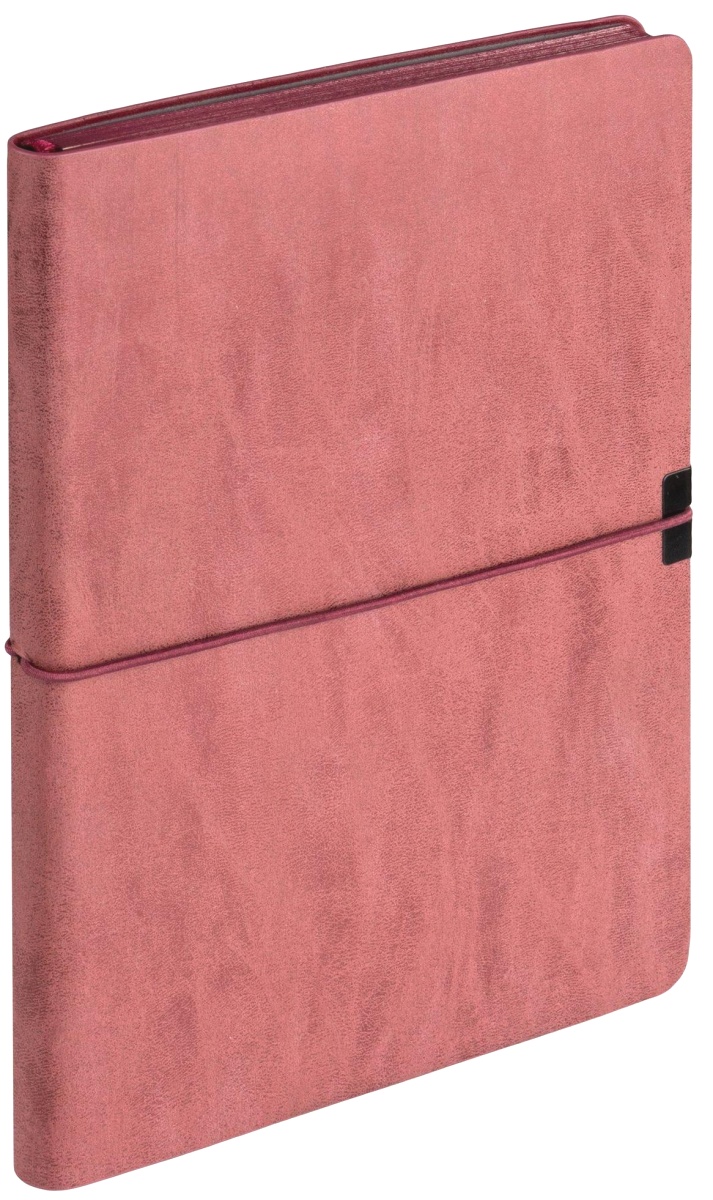 Набор: Перьевая ручка Parker I.M. Premium F222, Metallic Pink CT (перо F) + Ежедневник, недатированный, А5, красный, фото 9